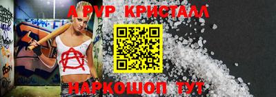 кокс Гатчина