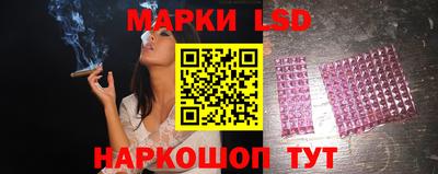 кокс Гатчина