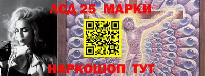 кокс Гатчина