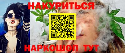 кокс Гатчина