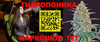 apvp Гусев