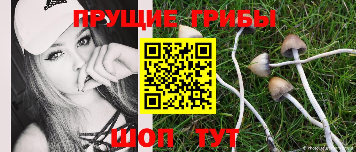Псилоцибиновые грибы Magic Shrooms  Вход с VPN  наркота  Новошахтинск 